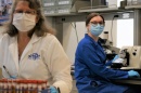 UNH Veterinary Diagnostic Lab Safeguarding Animal and Public Health in State, Region