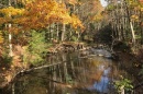 Stronger Storms Hamper Ability of Streams and Rivers to Clean Up Pollution