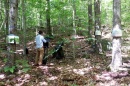 Trees with sap flow sensors having their data downloaded