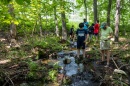 Students and teacher in a wooded stream