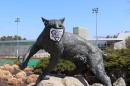 wildcat statue wearing mask