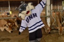 UNH Scientists Receive $2M Grant to Support Organic Dairy Industry