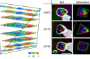 Brightly colored graphic representing theoretical simulations of magnetic fields.