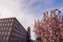 UNH Manchester building in springtime