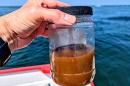 A hand holds a clear jar half-full of brown water, with the ocean in the background.