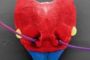 Scanning electron microscope image of ant head, colored red and blue