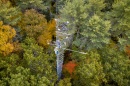 Research tower in a forest, shot from above with fall colors emerging