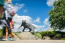 students walking by the Wildcat statue