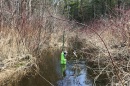 A carbon sensor, modified to work in lotic stream environments.