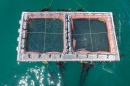 Aerial view of aquaculture pen with nets trailing below