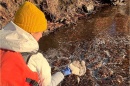 UNH Research Team Finds Concentrated PFAS in Watershed Foams