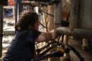 Researcher collecting colostrum from a dairy cow, highlighting its importance in calf immunity and health.