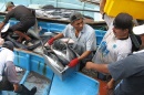 men unloading fish in a boat