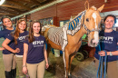 students witn horse skeletal demonstration
