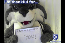 Giving Thanks