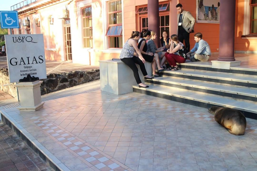 students on steps outside institution