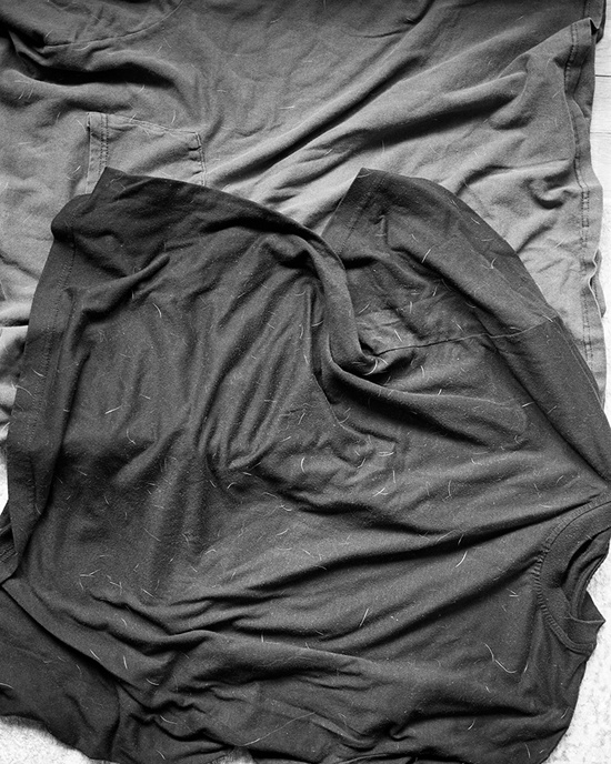 Comfort Colors Comfort Colors
