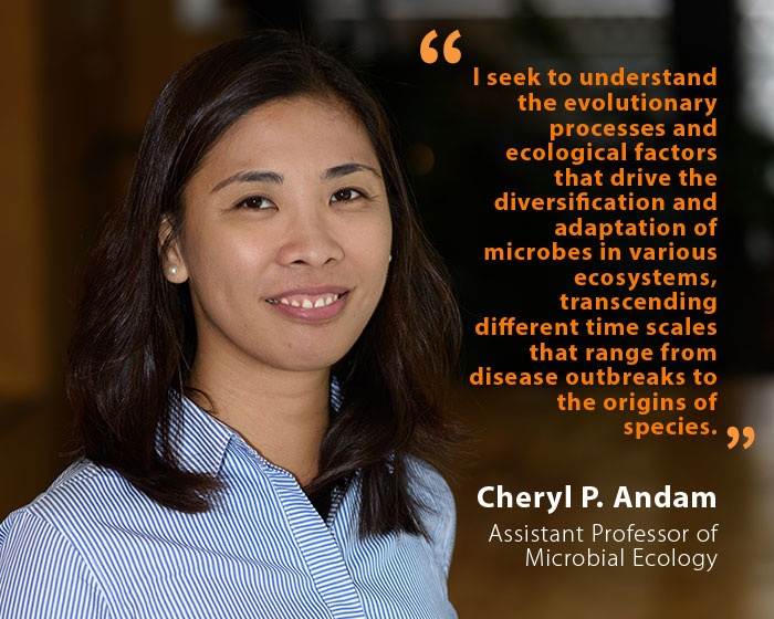 Cheryl P. Andam, UNH Assistant Professor of Microbial Ecology, and quote