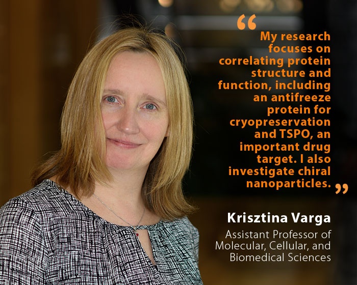 Krisztina Varga, UNH Assistant Professor of Molecular, Cellular, and Biomedical Sciences, and quote