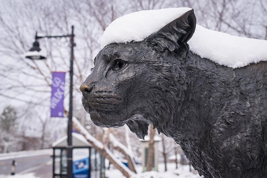 Wildcat statue with snow
