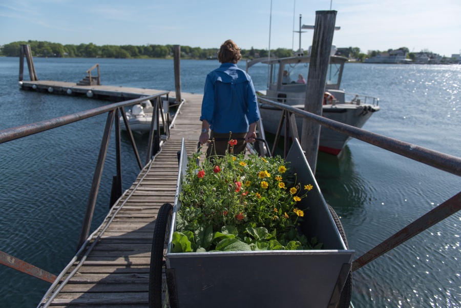 A woman pulling a cart full of plants onto a dock 