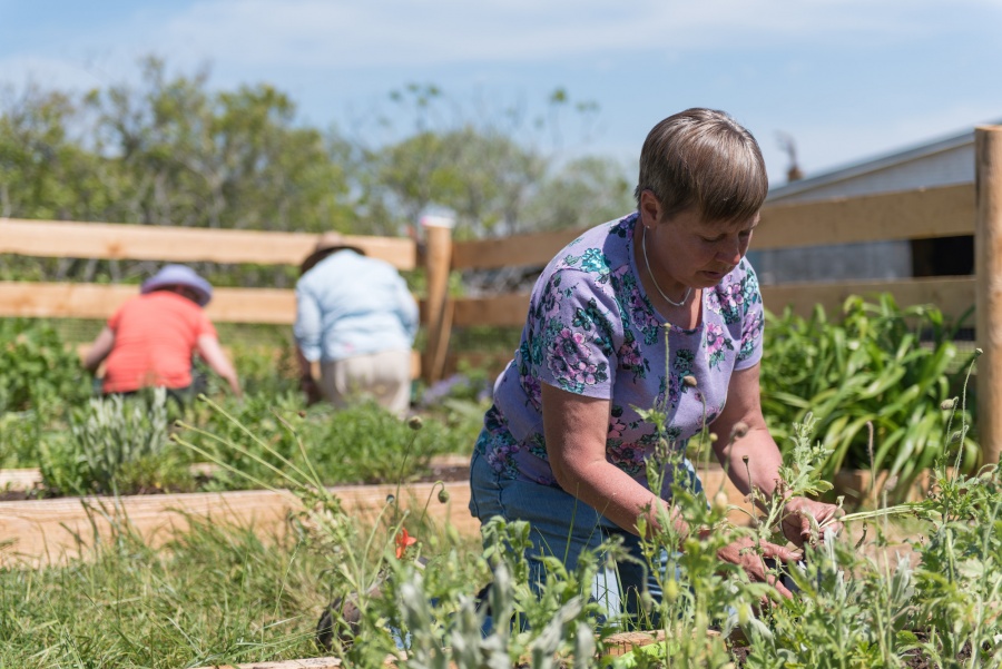 Marie Nickerson, UNH Cooperative Extension master gardener