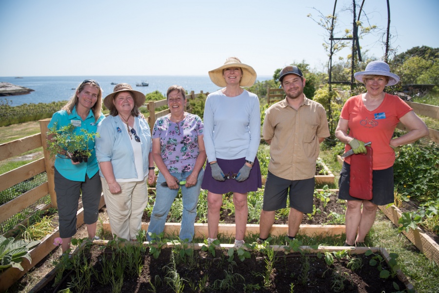 Team of gardeners at Celia Thaxter's 2016 island garden