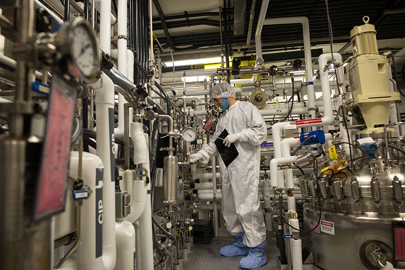 UNH student interning at Lonza