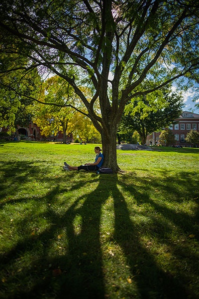 UNH student sitting under a tree