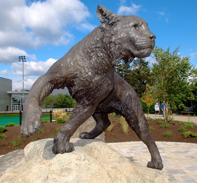 Wildcat Statue