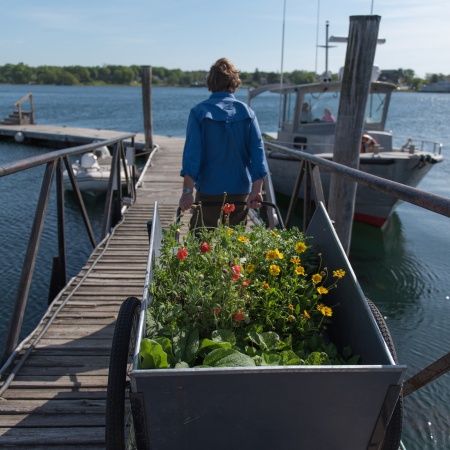 A woman pulling a cart full of plants onto a dock 