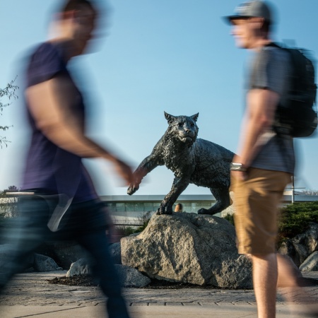 Students walk around the UNH wildcat statue