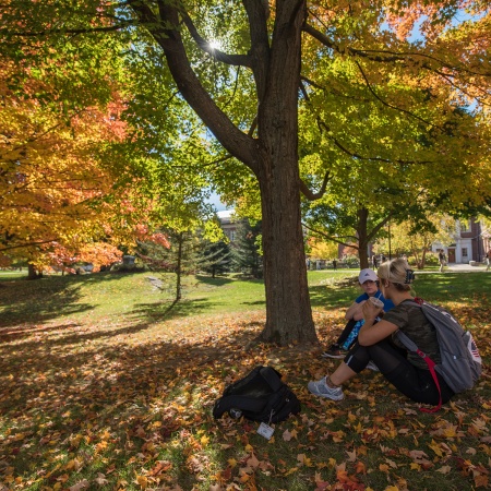 Students sitting under a tree