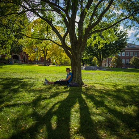 UNH student sitting under a tree