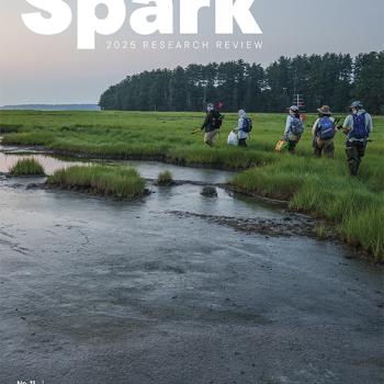 Cover of Spark magazine