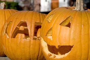 jack o'lanterns on UNH campus