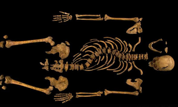 skeleton of Richard III 