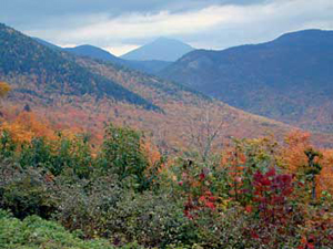 Bartlett Experimental Forest in New Hampshire's White Mountains Photo courtesy of U.S. Forest Service.