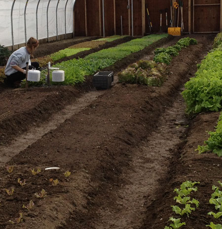high tunnels