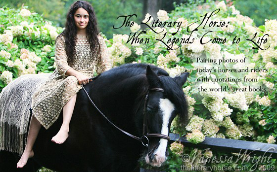 Literary Horse