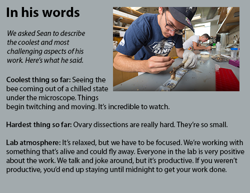 UNH pre-med major Sean Lombard