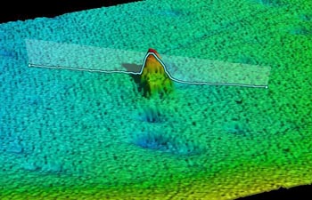 Computer visualization of the S.S. Terra Nova wreck reproduced from the acoustic data acquired by the R/V Falkor’s multibeam echo sounder.