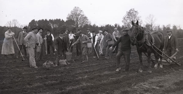 UNH potato planting, historic