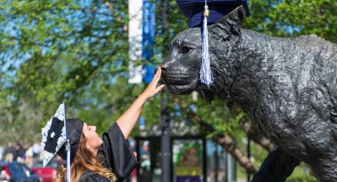 Newly graduated student patting the wildcat statue's nose.