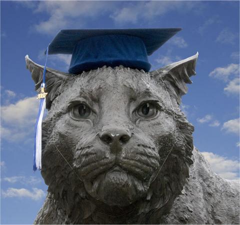 Wildcat Statue wearing a commencement cap