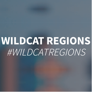 Wildcat Regions