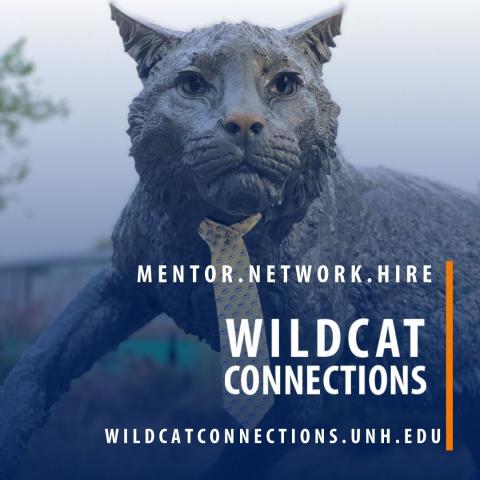 Wildcat Connections